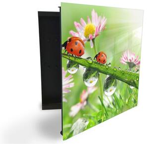 Glasdekor skříňka na klíče - berušky na trávě s rosou a květy - Levé / Černá