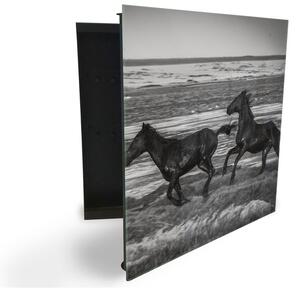 Glasdekor skříňka na klíče - černobílý kůň na pláži - Pravé / Bílá