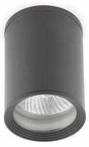 FARO TASA stropní svítidlo, tmavě šedá - FARO, IP44