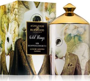 Ashleigh & Burwood London Wild Things Sir Hoppingsworth vonná svíčka 320 g
