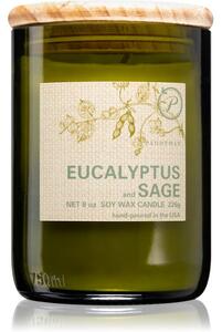Paddywax Eco Green Eucalyptus & Sage vonná svíčka 226 g
