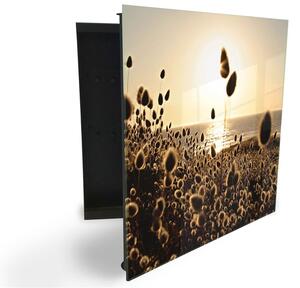 Glasdekor skříňka na klíče - traviny v západu slunce u moře - Levé / Černá