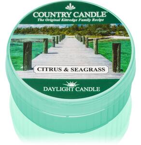 Country Candle Citrus & Seagrass čajová svíčka 42 g
