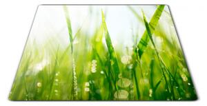 Skleněné prkénko zelená tráva s rosou - 30x20cm
