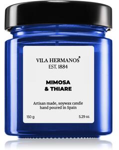 Vila Hermanos Apothecary Cobalt Blue Mimosa & Thiare vonná svíčka 150 g