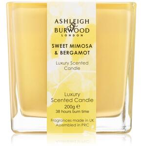 Ashleigh & Burwood London Life in Bloom Sweet Mimosa & Bergamot vonná svíčka 200 g