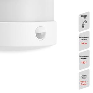 Telefunken 315506TF-LED Venkovní nástěnné svítidlo se senzorem LED/12W/230V IP44