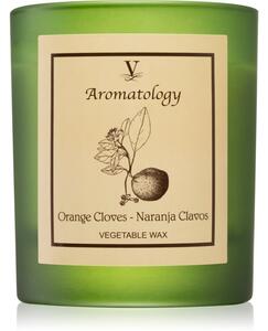 Vila Hermanos Aromatology Orange Cloves vonná svíčka 200 g