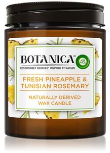 Air Wick Botanica Fresh Pineapple & Tunisian Rosemary vonná svíčka 205 g