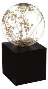 Atmosphera - LED Stolní lampa MICRO LED/2xAAA antracit