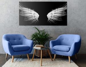 Obraz černobílé andělská křídla - 100x50 cm