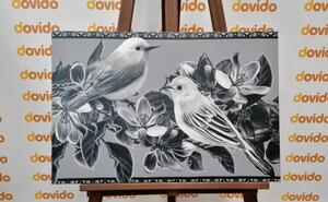 Obraz černobílé ptáčky a květiny ve vintage provedení - 60x40 cm