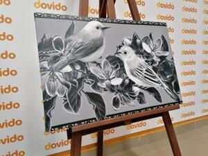 Obraz černobílé ptáčky a květiny ve vintage provedení - 60x40 cm