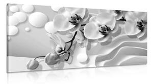 Obraz černobílá orchidej na abstraktním pozadí - 100x50 cm