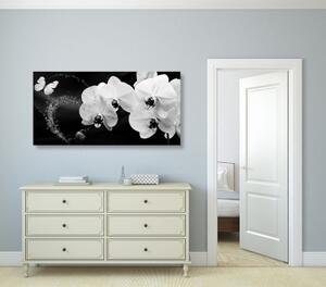 Obraz černobílá orchidej a motýl - 100x50 cm
