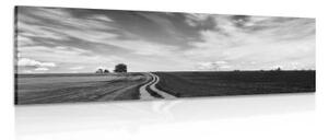 Obraz čarokrásná krajina v černobílém provedení - 150x50 cm