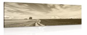 Obraz čarokrásná krajina v sépiové provedení - 120x40 cm