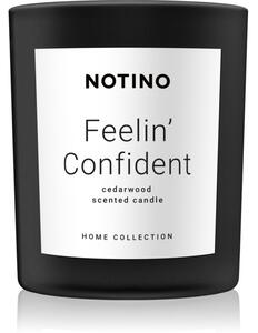 Notino Home Collection Feelin' Confident (Cedarwood Scented Candle) vonná svíčka 220 g