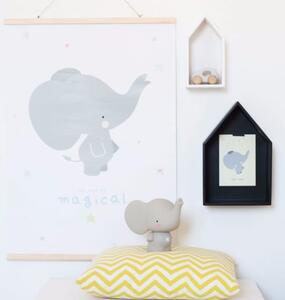 Plakát - Grey elephant 50x70 cm