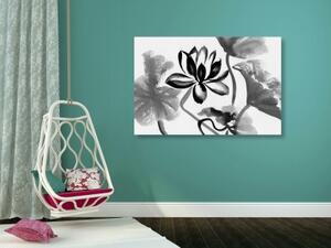 Obraz akvarelový lotosový květ v černobílém provedení - 60x40 cm