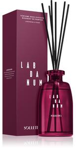 Souletto Labdanum Reed Diffuser aroma difuzér s náplní limitovaná edice 225 ml