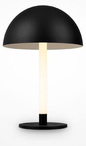 MAYTONI Stolní lampa Ray Z012TL-L8B3K