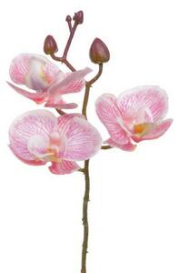 Umělá orchidej - růžová 20 cm