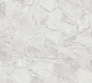 A.S. Création | Vliesová tapeta na zeď Terra 3893-50 | 0,53 x 10,05 m | bílá, šedá