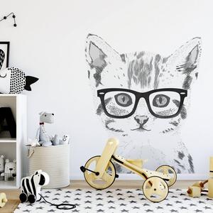 Samolepka na zeď Animals - kočička v brýlích DK234