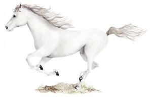 Samolepka na zeď Animals - bílý kůň DK376