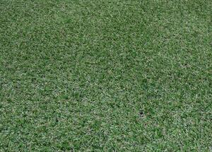 Umělá tráva Prado (šířka 2 m)