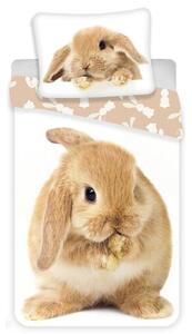 Jerry Fabrics Dětské bavlněné povlečení Bunny brown, 140 x 200 cm, 70 x 90 cm