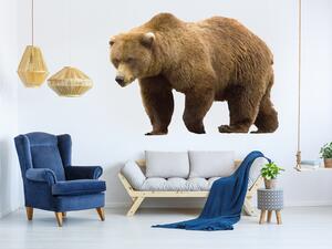 Medvěd 100 x 72 cm