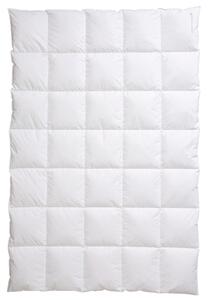 CELOROČNÍ PŘIKRÝVKA, 155/220 cm, peří, prachové peří Centa-Star - Přikrývky, Online Only