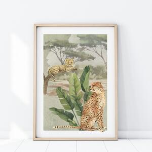 Plakát Safari - gepardi P350