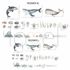 Samolepka na zeď Ocean - velryby, delfín, ryby, želva, rostliny a kameny DK444