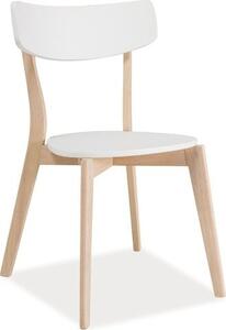 Casarredo Dřevěná jídelní židle TIBI bílá/dub
