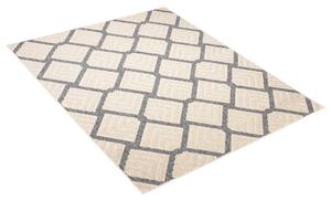 Makro Abra Kusový koberec Sisalový CANSAS T932C Geometrický krémový Rozměr: 60x100 cm