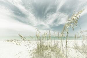 Fotografie Heavenly calmness on the beach | Vintage, Melanie Viola