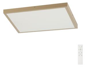 Brilagi -LED Stmív. koupelnové svítidlo FRAME SMART LED/50W/230V 60x60 IP44 + DO