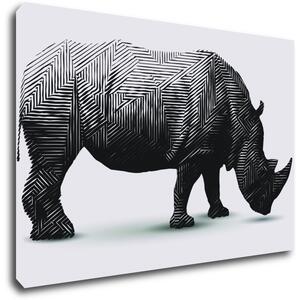 Impresi Obraz Nosorožec na bílém pozadí - 60 x 40 cm