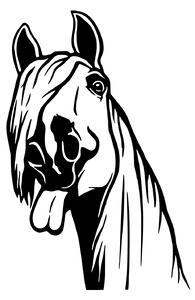 Vtipný kůň - samolepky na zeď Barevná varianta: černá