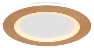 STROPNÍ LED SVÍTIDLO, 40/5 cm Globo - Online Only svítidla, Online Only
