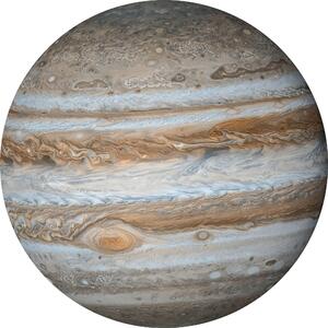 FOTOTAPETA velikost: 125 cm Komar - Online Only tapety, Online Only