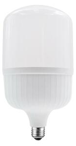 ACA Lighting LED P140 E27 230V 48W 6000K 220st 4650lm Ra80 IP65 P14048CW