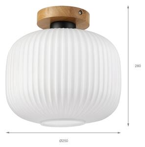Stropní svítidlo HARMA WOOD 1xE27/15W/230V dub/bílá pr. 25 cm