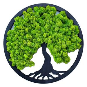 Mechový obraz – Strom života – lišejník Velikost rámu: 30cm