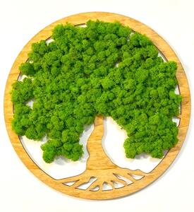 Mechový obraz – Strom života Velikost rámu: 30cm
