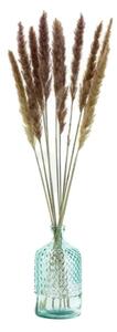 Sušené květiny Pampas – natural fialová Kus: 1