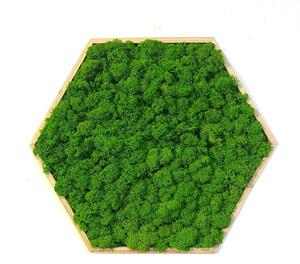 Mechový obraz – Hexagon Velikost rámu: 21cm (v nejširším bodě)
